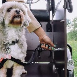 Babboe - Laisse Double Pour Chiens Avec Point D'ancrage -EBike24 Soldes babboe double laisse gros plan sur la fixation 3840x2160