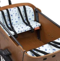 Babboe - Set De Coussins Pour Curve -EBike24 Soldes babboe set de coussins pour curve cool summer 3840x2160