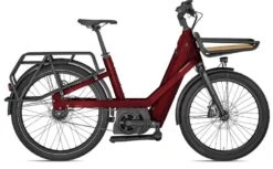 Bergamont E-Cargoville Bakery Elite 2024